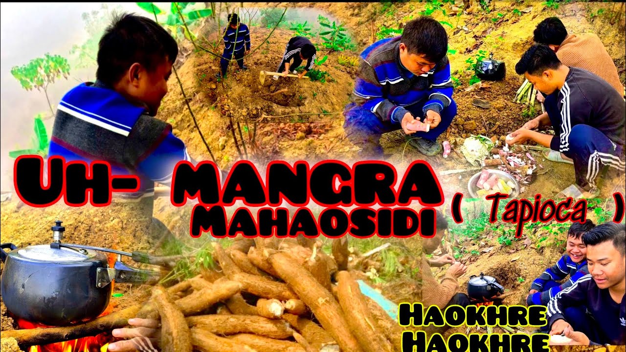 Uh- Mangra taanba da Bonium khongrao segaire 🤣 // Mahao leina charure  (Tapioco)