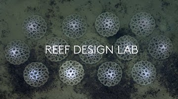 Reef Design Lab - EMU (Erosion Mitigation Units) Coastal Defence and Marine Habitat Enhancement