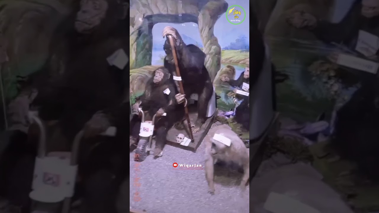 karachi Zoo Museum🐒🐅🐘