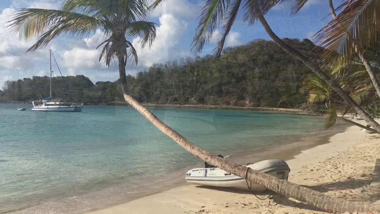 EL PARAISO CARIBEÑO. Desde Sandy Island a Tobago Cays