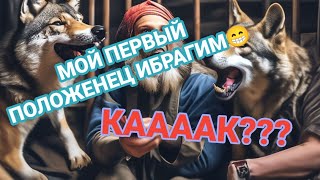 МОШЕННИК. МОЙ ПЕРВЫЙ ПОЛОЖЕНЕЦ ОБЛАСТИ🤣🔥