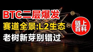 链上百科 · 赛道全景(15):比特币Layer2赛道 | 你以为BTC只能存?它马上能玩出花 | 老树新芽,韭菜别错过