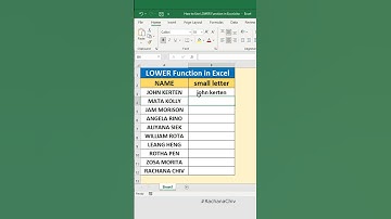 How to Use LOWER Function in Excel #excel #shorts