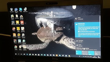 How setup a windows 10 apn