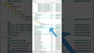 IDA Pro Basics - Collapsing Function Folders, the Easy Way 🫰