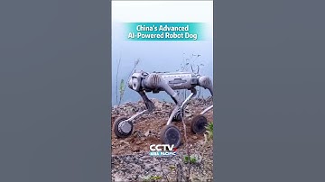 China‘s AI-powered robot dog