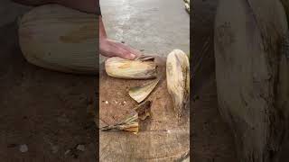 G16002692 mini rotary tillage and ridging all-in one tree short view#subscribe