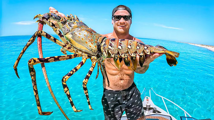 Can I Cook Giant Lobster Using The Sun? - DayDayNews