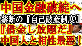 【中国政府の大失策『自己破産制度』キタぁ！『借金は返さなくて良い』が伝統の中国人と相性悪過ぎぃｗ】これリーマンショック級の金融危機来るわ。政府が10年間借金推奨した結果中国人の借金3700兆円超だぞ？