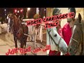 Horse Carriages In Italy اٹلی میں گھوڑا گاڑیاں 