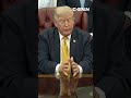 Trump: Pirro "choked" on reflecting pool case