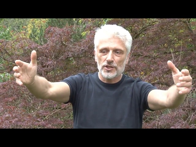 Aga Michalak - Qigong