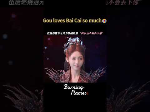 #烈焰 报告！阿狗他超爱的~ #任嘉伦 #邢菲 | Burning Flames | 烈焰 | iQIYI