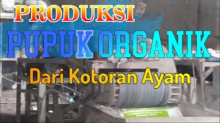 Pembuatan Pupuk Organik dari Kotoran Ayam untuk Pertanian