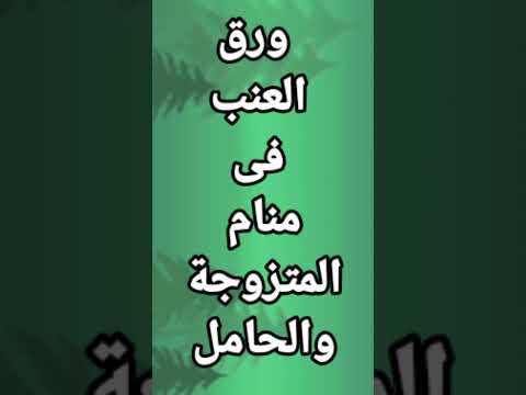 رؤيه ورق العنب فى منام المتزوجه والحامل تفسير الرؤى و الاحلام ورق العنب فى الحلم العنب فى منا
