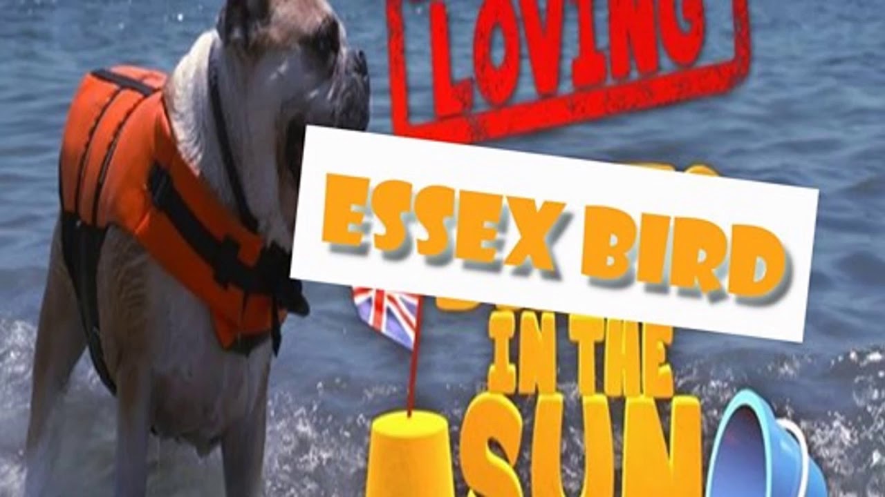 Bargain Loving Brits in the Sun 2020 - Season 5 Episode 4.....just