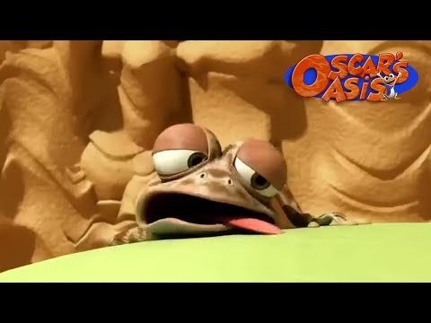 Oscar's Oasis Official 