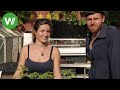 Urban Gardening in Berlin und prächtige Parks in Postdam | Landträume (Folge 21/37)