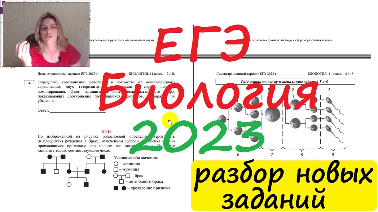 Демонстрационный егэ 2023