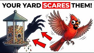 Why Birds Suddenly Stop Visiting Your Yard —The Hidden Reasons Behind Their Disappearance