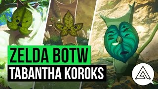 Zelda Breath of the Wild All Korok Seeds Guide - Tabantha Region