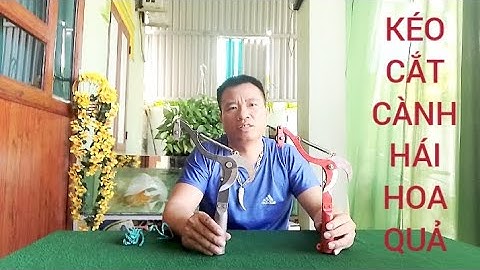 BỘ ĐẦU KÉO CẮT TỈA CÀNH CÂY TRÊN CAO KIÊM HÁI HOA QUẢ ĐA NĂNG MẪU NHƯ VIDEO 