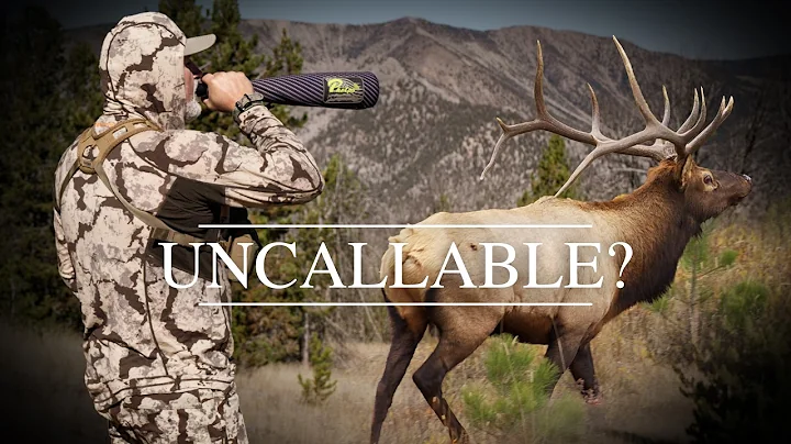 4K | IDAHO Elk Hunt | Dirk Durham | THEBUGLER