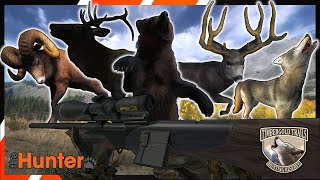 Ultimate Guide For Timbergold Trails | theHunter Classic