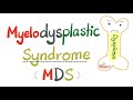 Myelodysplastic syndrome mds  between normal  acute leukemia aml  hematology series