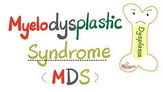 Myelodysplastic Syndrome (MDS) - Between Normal & Acute Leukemia (AML) - Hematology Series