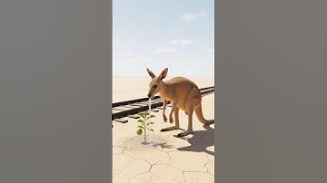 ❤️ Kangaroo saved guava plant from drying up 😭🌱🦘 #ai #save #plant