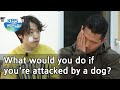 What would you do if you're attacked by a dog? (Dogs are incredible) | KBS WORLD TV 210407