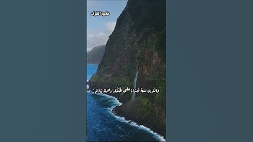 مُّحَمَّدٌ رَّسُولُ اللَّهِ ۚ ..#ياسر_الدوسري#قرآن #تلاوة