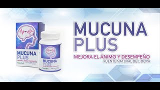 Productos &quot;Essen Herb&quot;: MUCUNA PLUS. Medicina Ayurvedica (AYURVEDA). Dr. SERGEY KRUTKO. Costa Rica