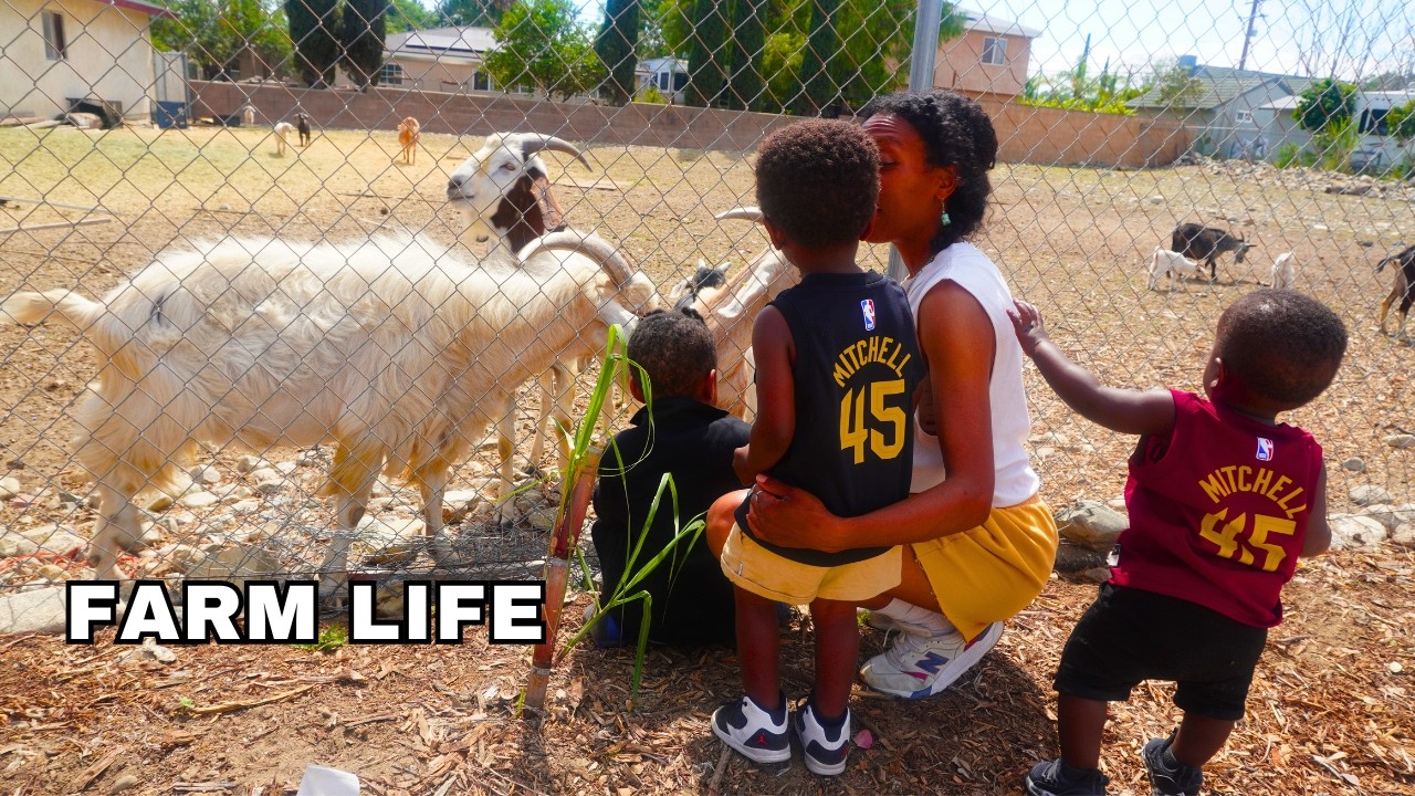Slow living in Los Angeles | A day on a farm #Sandlewood