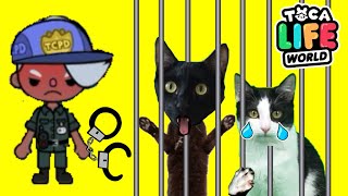 Gato jugando en Toca Boca Life World y pasa esto / Videos de gatos Luna y Estrella en español
