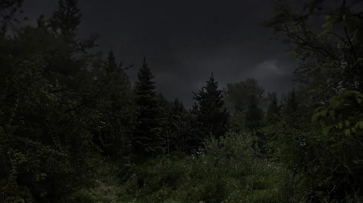 Mountain Forest Thunderstorm | Alone on Lost Peak | Calm Before the Storm | 3 HOURS thumbnail