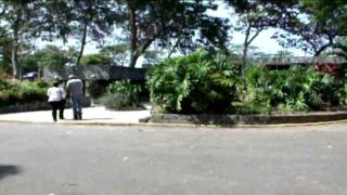 Parque Cachamay - Colsonos - Venezuela