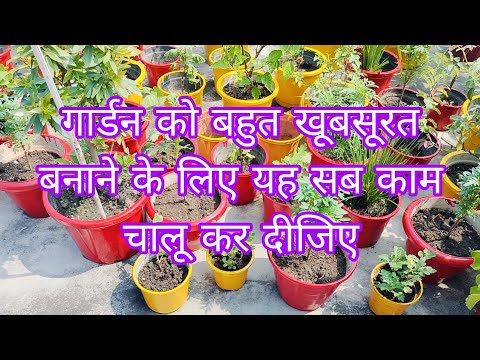 अपने गार्डन को खूबसूरत बनाने के लिए यह सब काम अभी से शुरू करदीजिए