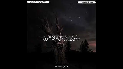 أرح سمعك تلاوة القرآن الكريم القارئ الشيخ رعد محمد الكردي حالات واتس اب اسلامية حالات دينية