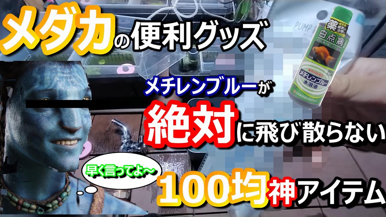 神アイテム もうメチレンブルーで手を汚さない 100均アイテム Youtube 神アイテム もうメチレンブルーで手を汚さない 100均アイテム Youtube