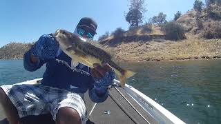 MILLERTON LAKE/CATCHING LARGE AND SPOTTED BASS.