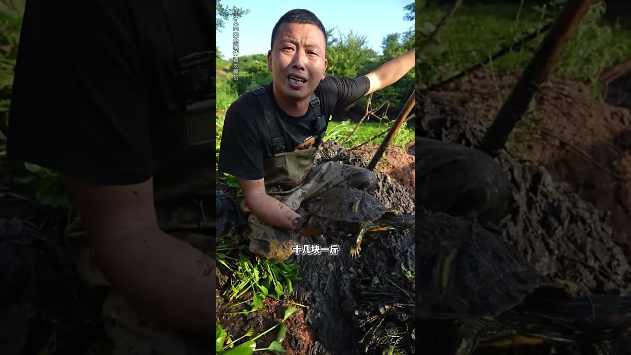 （下）用挖机在鱼塘里找货，没想到竟然挖到这么多....