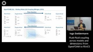 Fluid-Fluid coupling across models and dimensions: From OpenFOAM to FEniCS