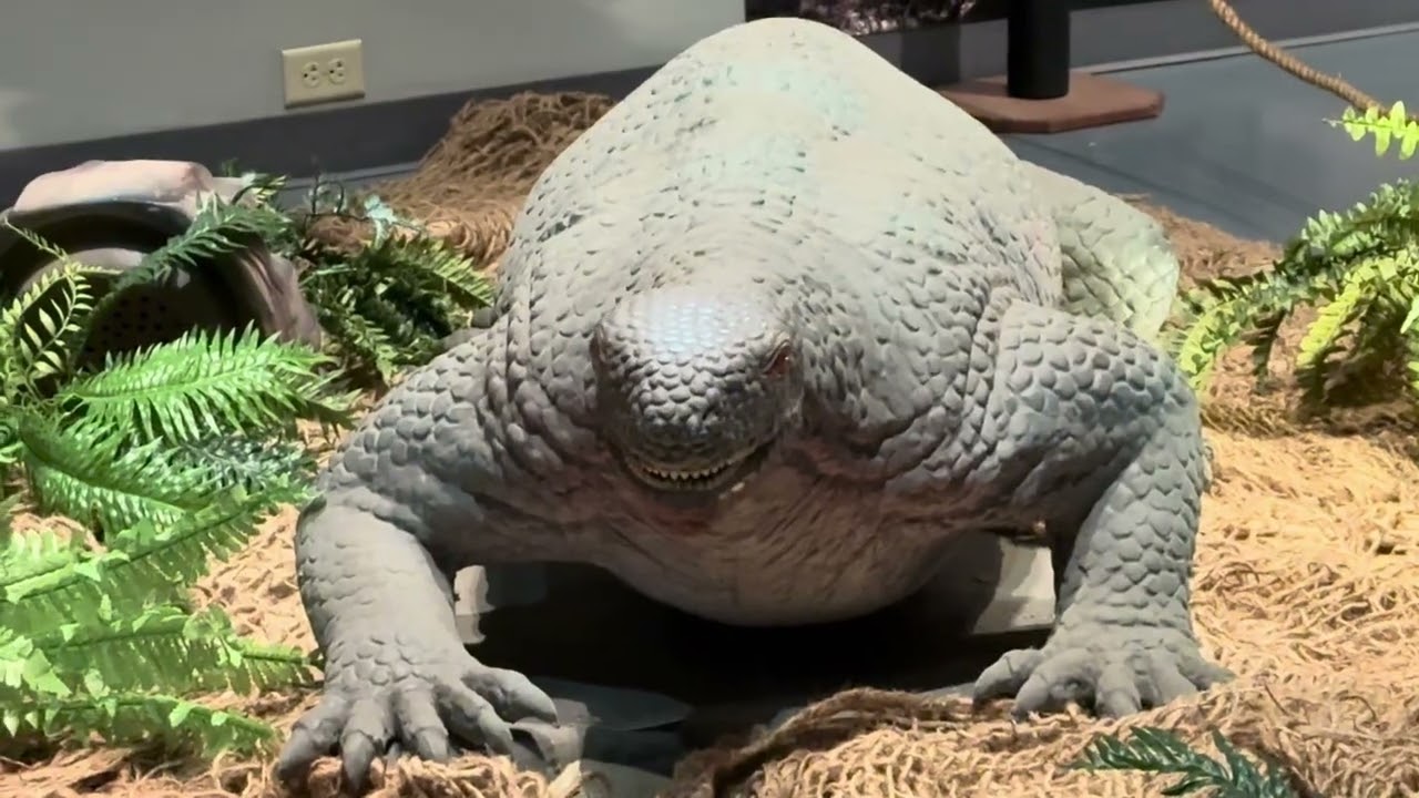 Mummies And Dinosaurs, Oh My!!!