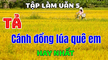 TẢ CÁNH ĐỒNG LÚA QUÊ EM - TẬP LÀM VĂN 5