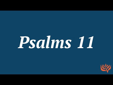 Psalms 11 Live Reading