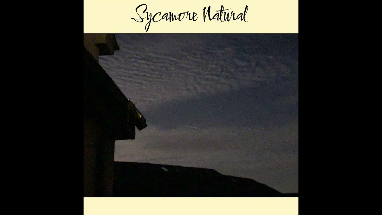 Willow Marina - Sycamore Natural (Full Album)