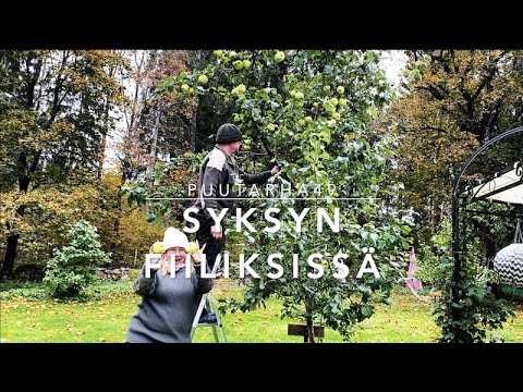 Video: Syksyn Karsiminen Puutarhassa