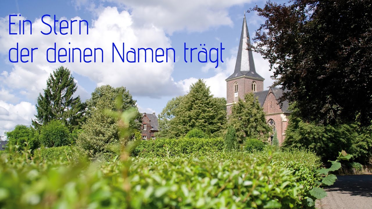 Ein Stern der deinen Namen trägt.Nick P. Cover